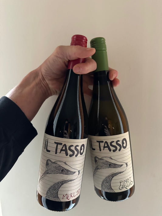 duo wijn: Il Tasso Pinot Grigio &  Merlot